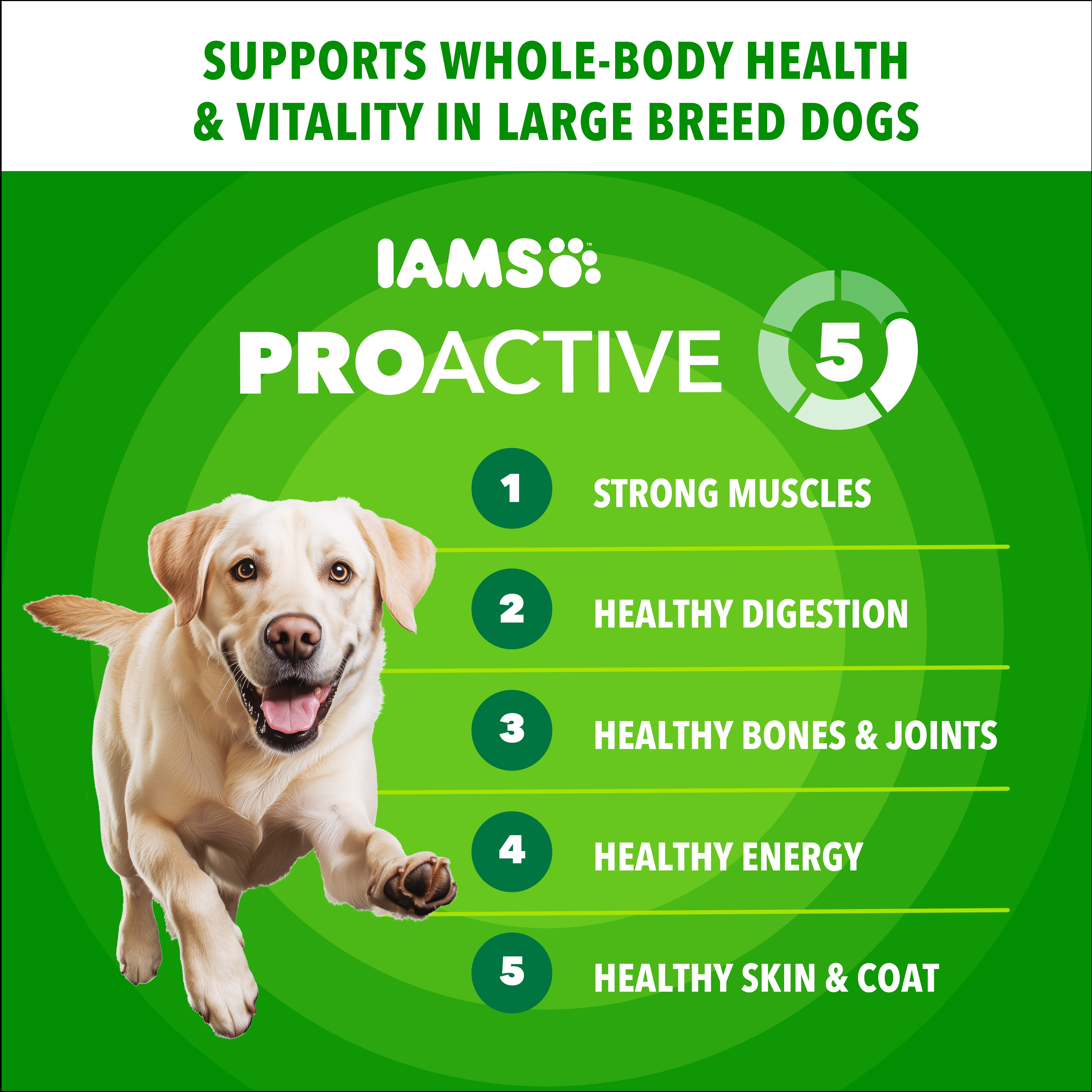 IAMS Proactive Health Large Breed Adult Chicken & Whole Grain Recipe Dry Dog Food, 38.5 Lb Bag