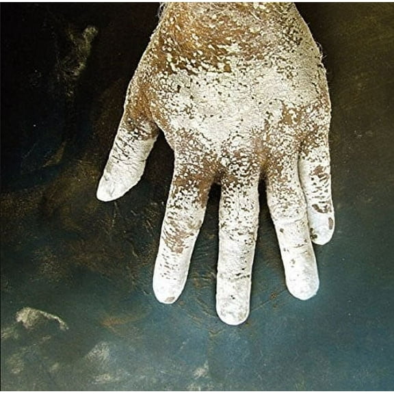 Wrekmeister Harmonies - Night of Your Ascension - Rock - Vinyl