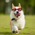 thumbnail image 4 of KMWGRE Durable Oval Pet Sunglasses with Adjustable Strap for Dogs and Cats Outdoor Protective Goggles Red One Size, 4 of 4