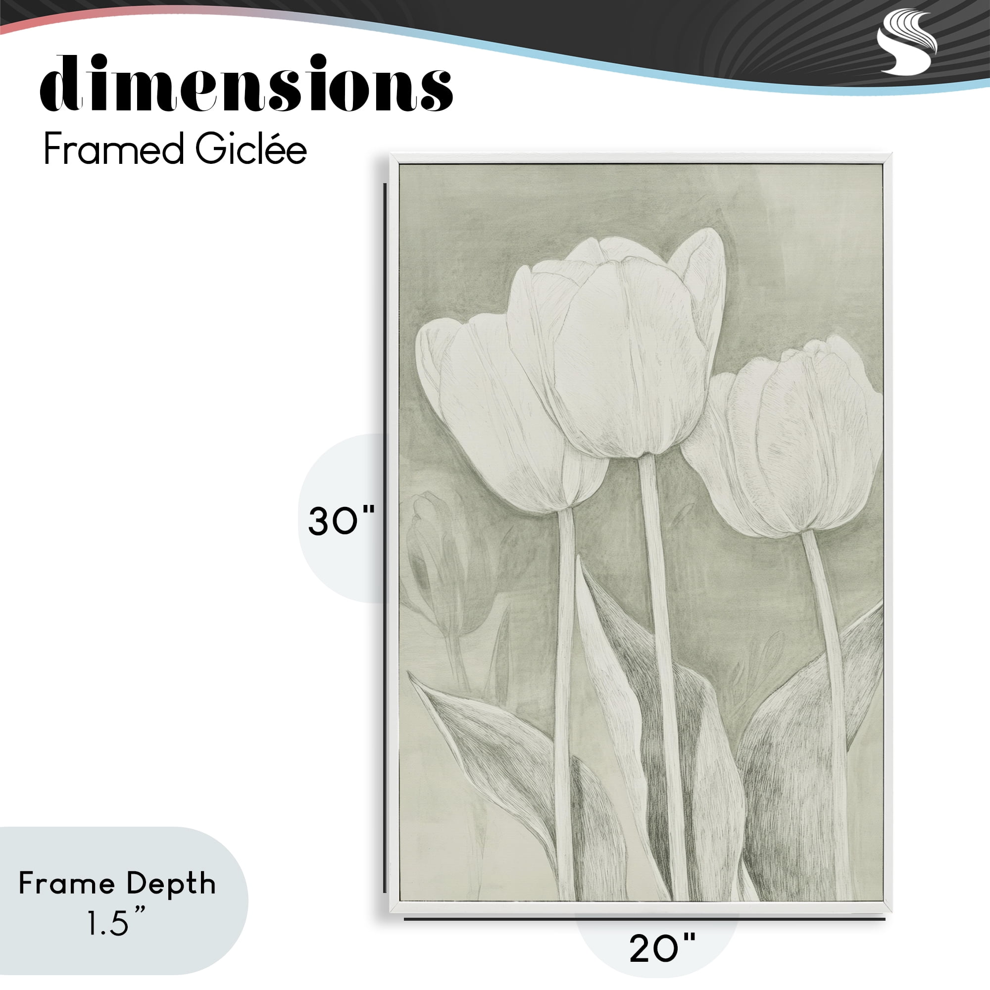 Stupell Industries Faded Tulips Pencil Sketch White Framed Giclee Art, design by Petal Prints Design