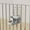 Grey, variant on 10Inch Automatic Pet Water Dispenser for Cages & Crates, Adjustable Flow Cat Dog Bowl Hanging Gravity Waterer for Dogs, Cats & Rabbits Indoor Pet Feeding Station Detachable Transparent Waterer Yellow