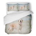 thumbnail image 1 of ABPHQTO Juego de ropa de cama de 3 piezas Yellow Beach Labrador Dog Smiles Lab Water Action Active Activity Funda nórdica con 2 fundas de almohada, 1 of 1