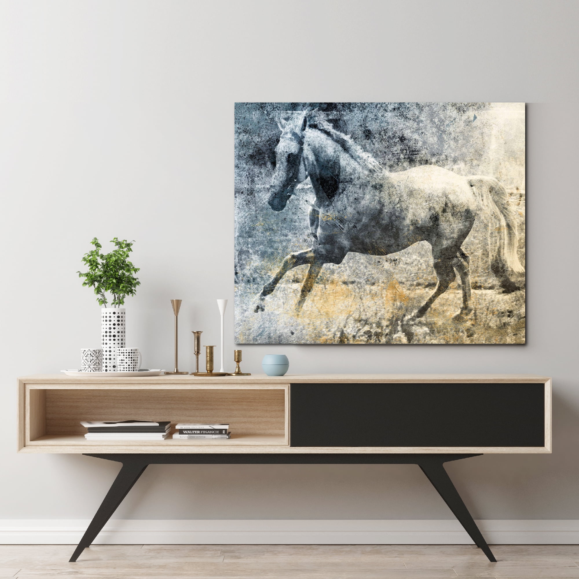 Washed Out Horse Gallery-Wrapped Canvas Wall Art, 16x20