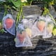 thumbnail image 4 of Bolsas de protección para frutas, uvas, fresas, bolsas para el cultivo de frutas, redes antipájaros, bolsas de malla para control de plagas, bolsas de malla para herramientas de jardinería, bolsas de, 4 of 5