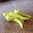 thumbnail image 4 of Bananarama Pepper Vegetable Plants | 3 Garden Starters in 4in. Grow Pots; Full Sun | Altman Plants, 4 of 5