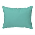 thumbnail image 2 of Betsy Drake ZP1164 20 x 24 in. Sailing the Cliffs Zippered Indoor & Outdoor Pillow, Extra Large, 2 of 2