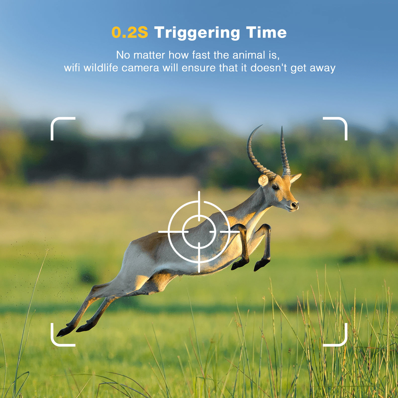 CAMPARK Trail Camera WiFi 4K 24MP Game Hunting Camera with Night Vision Waterproof IP66