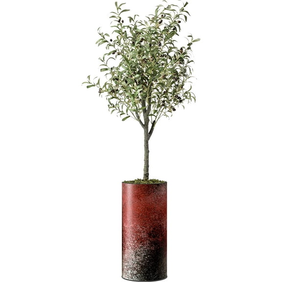 Artificial Tree in Modern Planter, Fake Olive Silk Tree for Indoor and Outdoor Home Decoration - 68" Overall Tall (Plant Pot Plus Tree)