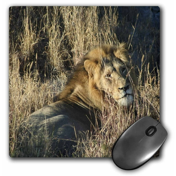 3dRose, Lion king in the grass, MousePad