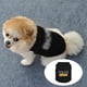 thumbnail image 2 of Mascota Ropa Chaleco Perro Ropa de Verano Poliéster Transpirable Teddy Bear Ropa, 2 of 5