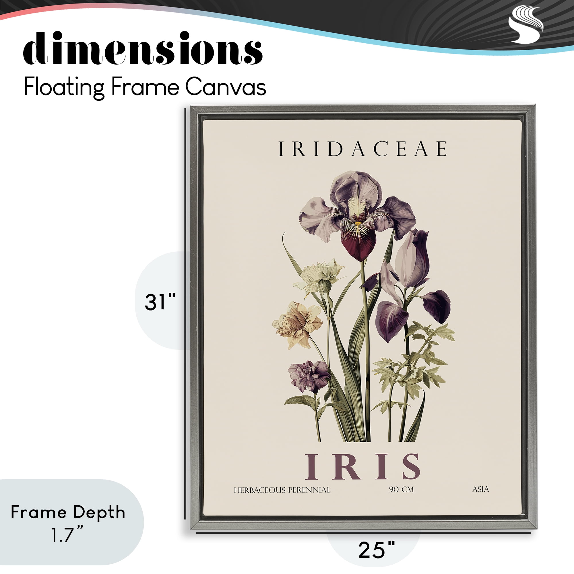 Stupell Industries Natural Iris Bundle Gray Framed Floater Canvas Wall Art, design by Christopher Giampietro