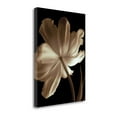 thumbnail image 2 of Tangletown Fine Art Champagne Tulip II by Charles Britt Poster Frame - 38 x 28 x 1.5 in., 2 of 3