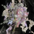 thumbnail image 1 of Yugen, 1 of 1