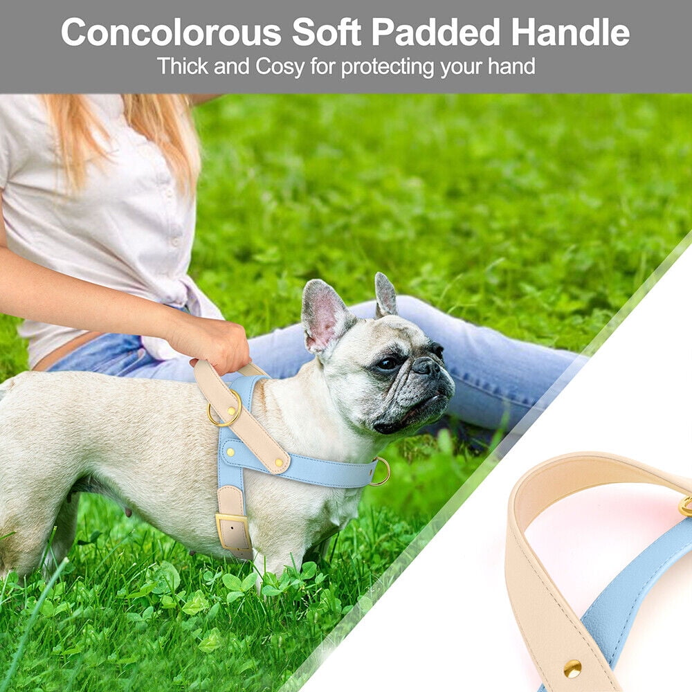 Didog Fashion No Pull Front Leading Dog Harness Soft Leather Adjustable Chest Vest with Handle