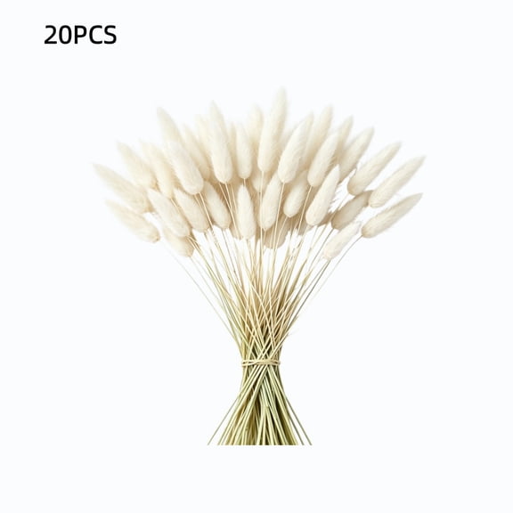 chaungfeng 17" Artificial Bunny Tails Dried Flowers, 20 Pcs Faux Dried Lagurus Ovatus, Dried White Pampas Grass Decor for Farmhouse Flower Arrangements Wedding Home Boho Party Decorations