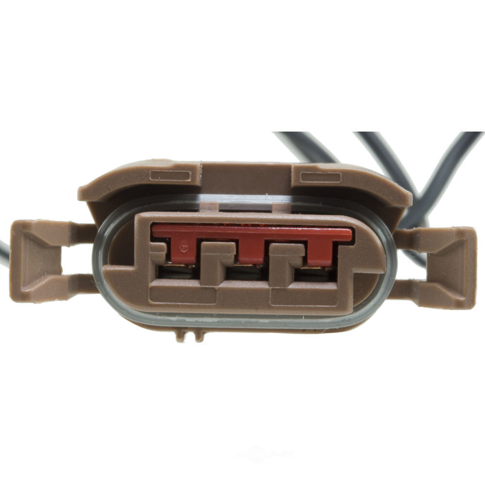 WVE 1P1297 Parking Light Connector