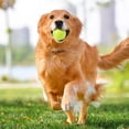 thumbnail image 4 of WD-Forest 2.4" Indestructible Squeaky Dog Chew Ball for Aggressive Chewers Interactive Dog Toys for Teething Relieving Anxiety Outdoor Rubber Balls for Large Medium Breeds, 4 of 5