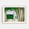 thumbnail image 2 of Nature's Window - Photography Abandoned Rustic Farmhouse Nature Woodland Vintage Botanical Unframed Wall Art Print 12 x 16 inches, 2 of 7