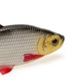 thumbnail image 3 of 2 cebos de plástico blando Swim Shad con acción realista señuelo de cola en T señuelo de pesca biónico cabeza de cebo de 13.5 cm/28 g señuelos de pesca cebos equipo, 3 of 8