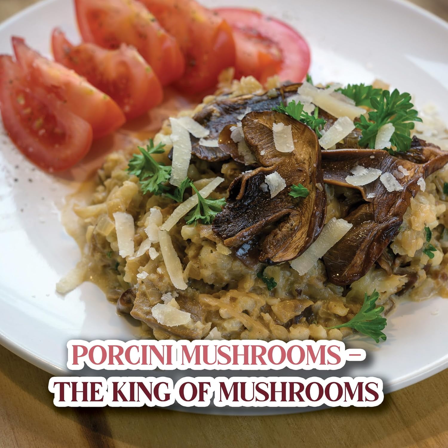 Gourmanity 3oz Dried Porcini Mushrooms, Extra Grade Dried Mushrooms, Umami Flavor Captured, Great for Cooking, Non GMO