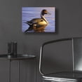 thumbnail image 5 of Epic Art 'Lone Pintail' by Mark Mueller Wildlife Art, Acrylic Glass Wall Art, 16"x12", 5 of 8
