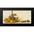 thumbnail image 2 of Pinto, Patricia 14x9 Black Modern Framed Museum Art Print Titled - Racimo de Cocos III, 2 of 5