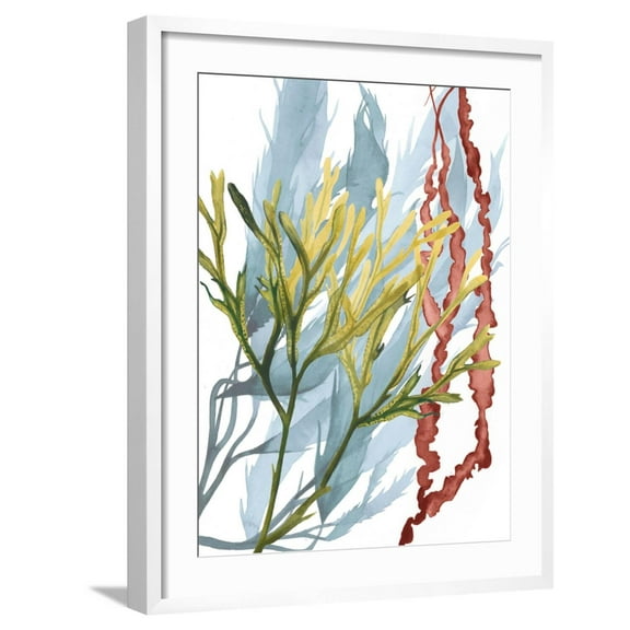 Art.com Seaweed Flow II Art Print by Grace Popp, White Frame Wall Art, 23" x 29"