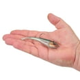 thumbnail image 2 of Berkley PowerBait® Power® Switch, 4.25 in, HD Stealth Minnow, 2 of 4
