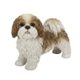 thumbnail image 1 of Statue d'Animal de Décoration de Jardin Brun et Blanc Debout Shih Tzu, 1 of 5
