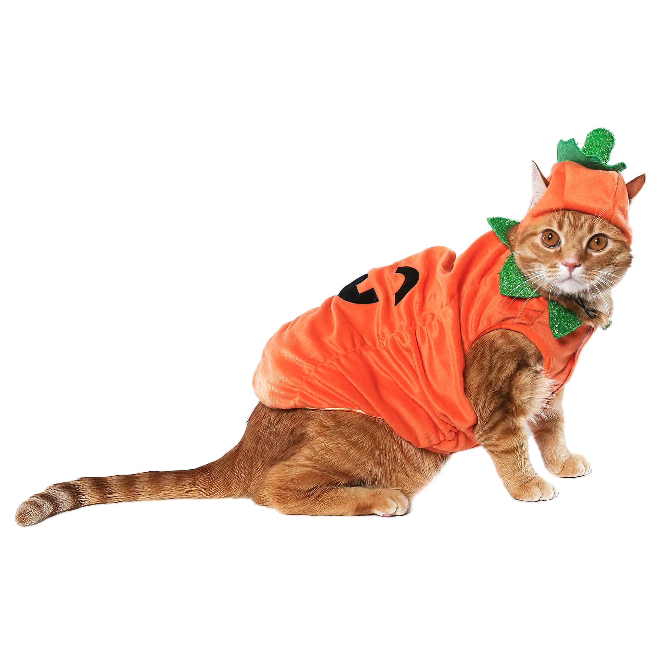 Vibrant Life Vl Hw Costume Pumpkin Small