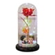 thumbnail image 1 of Flor Preservada de Lujo Sunnimix con LED para Decoración del Hogar Rojo, 1 of 8