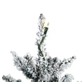 thumbnail image 2 of Vickerman 24" Flocked Anoka Pine Artificial Christmas Tree, Warm White LED Lights, 2 of 4