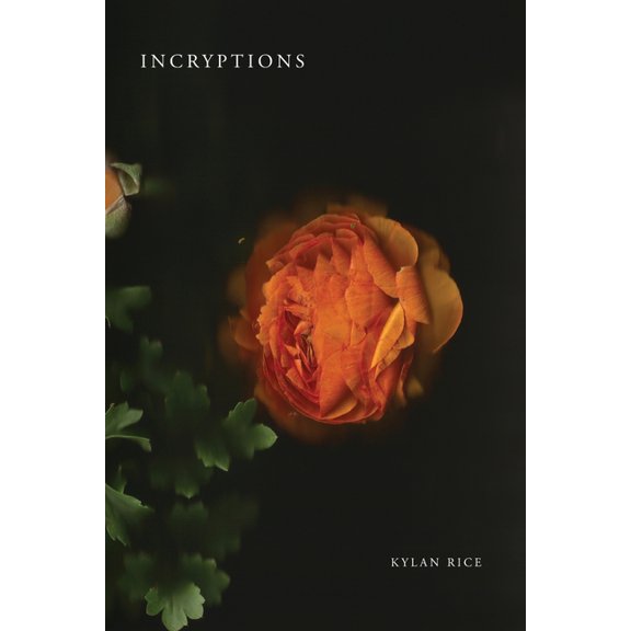 Incryptions, (Paperback)