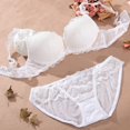 thumbnail image 2 of Women Lace Lingerie Bra and Panty Set Two Piece Underwire Push Up Bra and Panty Sets, 2 of 6