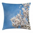 thumbnail image 1 of Almond Blossom Throw Pillow Cushion Cover, Spring Pattern with Pastoral Elements Open Sky Botany Garden, Decorative Square Accent Pillow Case, 24" X 24", White Pale Blue Dimgray, by Ambesonne, 1 of 2