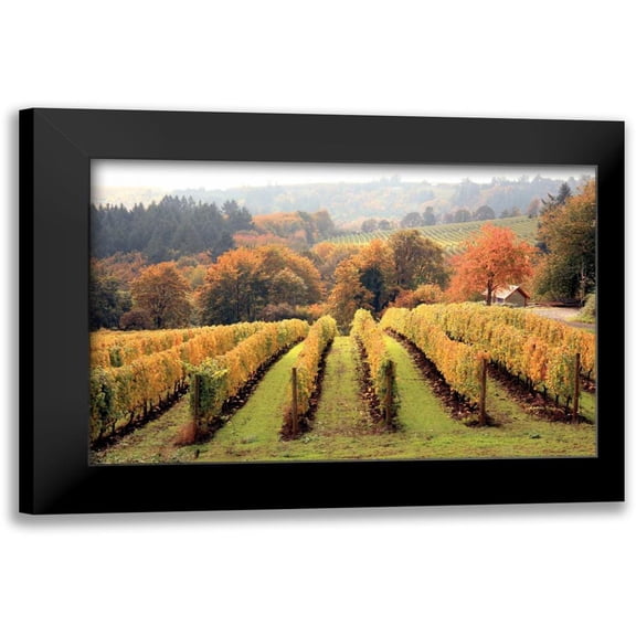 Love, Maureen 14x11 Black Modern Framed Museum Art Print Titled - Bella Vida I
