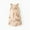 Beige, variant on Gunia Hawaiian Dresses For Girls Baby Spring Print Cotton Sleeveless Princess Clothes Sundress For Toddler Kids Youth Beige Dress For Girls 1-12 Years