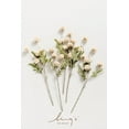 thumbnail image 4 of Pompon Mum Artificial Flower, 5pcs Faux Silk Mini Chrysanth with Stems, Bulk Fake Wedding Filler Flowers for DIY Bouquet Centerpieces Arrangements Shower Decorations, Beige, 4 of 4