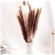 thumbnail image 2 of Pampas Secas 30pcs Plantas Decorativas Flores Artificiales, 2 of 5