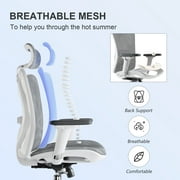 SIHOO High Back Ergonomic Office Mesh Desk Chair with Armrest & Lumbar Support, 300lb,Light Grey