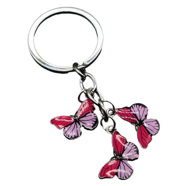 Hearth & Gear Durable Stainless Steel Keychain With Secure Locking Mechanism For Everyday Carry And Organization