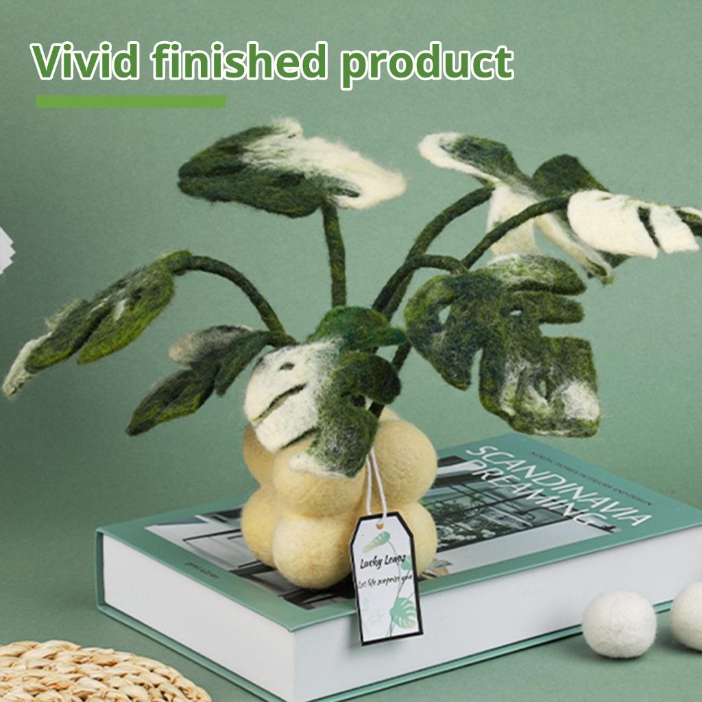 Rvaymup Monstera Plant Needle Felting Set with Felting Needle Instruction Felting Pad