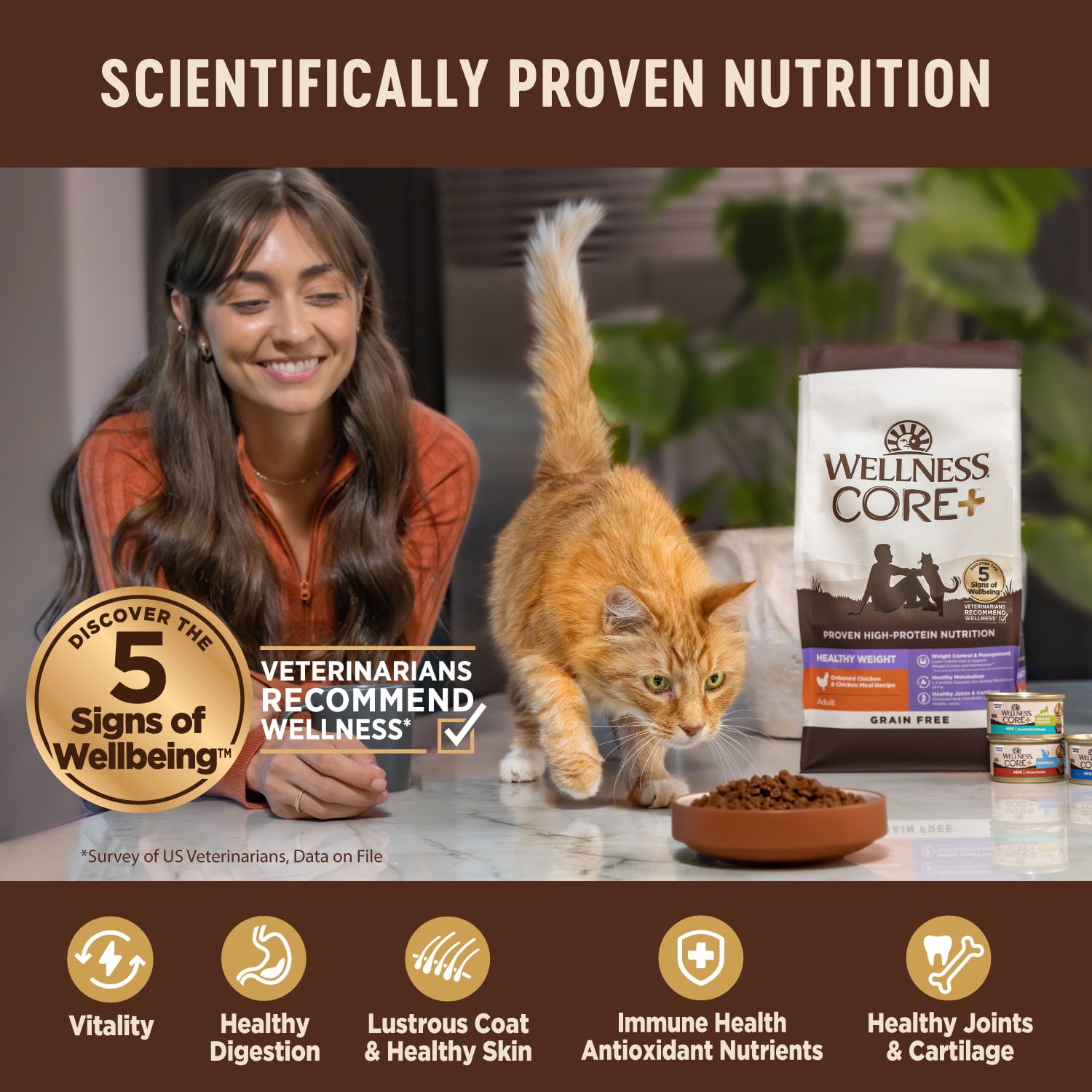 Wellness CORE+ Adult Dry Cat Food for Indoor Cats, Natural, Grain Free Kibble, Salmon and Herring Meal Recipe, 11 lb Bag