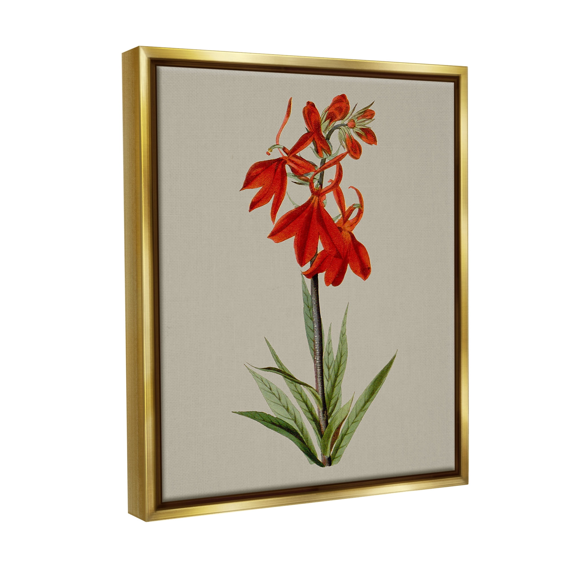Stupell Industries Traditional Blossom Study Botanical & Floral Painting Gold Floater Framed Canvas Art Print Wall Art, 25 x 31