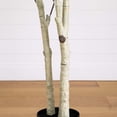 thumbnail image 3 of Nearly Natural 8ft. Artificial Birch Tree with Real Touch Leaves, 3 of 5