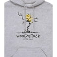 thumbnail image 3 of Peanuts - Woodstock 1969 - Men's Pullover Hoodie, 3 of 6