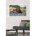 thumbnail image 2 of Texas - Longhorns Wall Poster, 22.375" x 34" Framed, 2 of 6