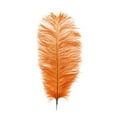thumbnail image 3 of John Bead Ostrich Drab Feathers 11-13in, Orange, 3 of 4