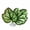Green, variant on FXMLRLK 1PC Betta Fish Leaf Pad with Suction Cup Hammock Simulating Habitat Realistic Resting Fish Rest Bed Aquariums Decor Hammock Simulating Habitat (Green)