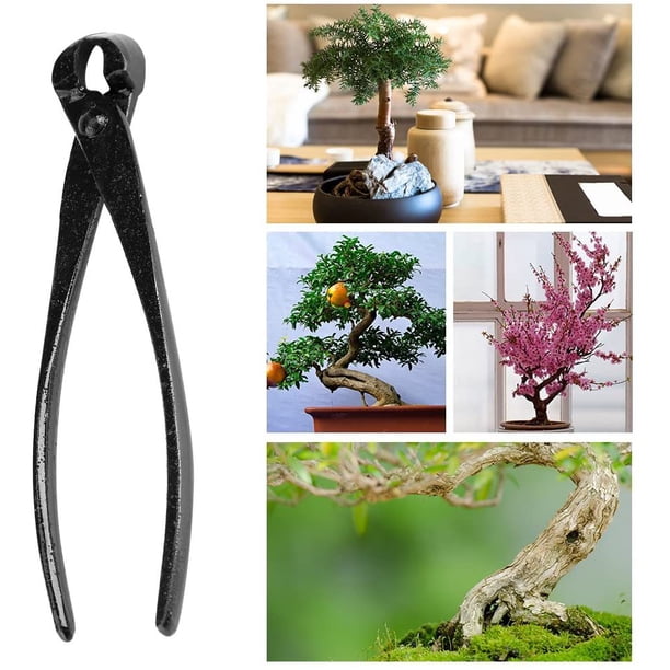 Bonsai Pruner & Leaves, Bonsai Cutter Herramienta de poda de árboles Bonsai, Alicates de aleación de acero al manganeso de 20 cm Herramientas de corte Bonsai para principiantes en jardinería Rama de TUNC Sencillez